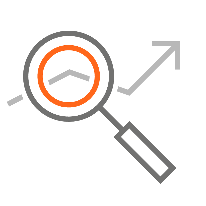 Magnifying glass icon