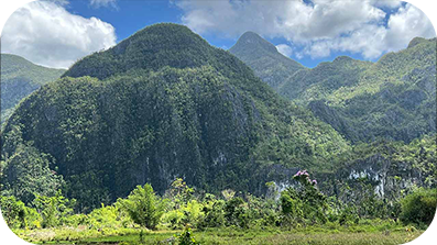 Landschaftliche Ansicht der mit dichtem Wald bedeckten Hügel.