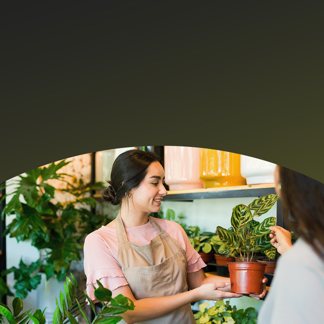 Mulher dona de viveiro vendendo planta para cliente.