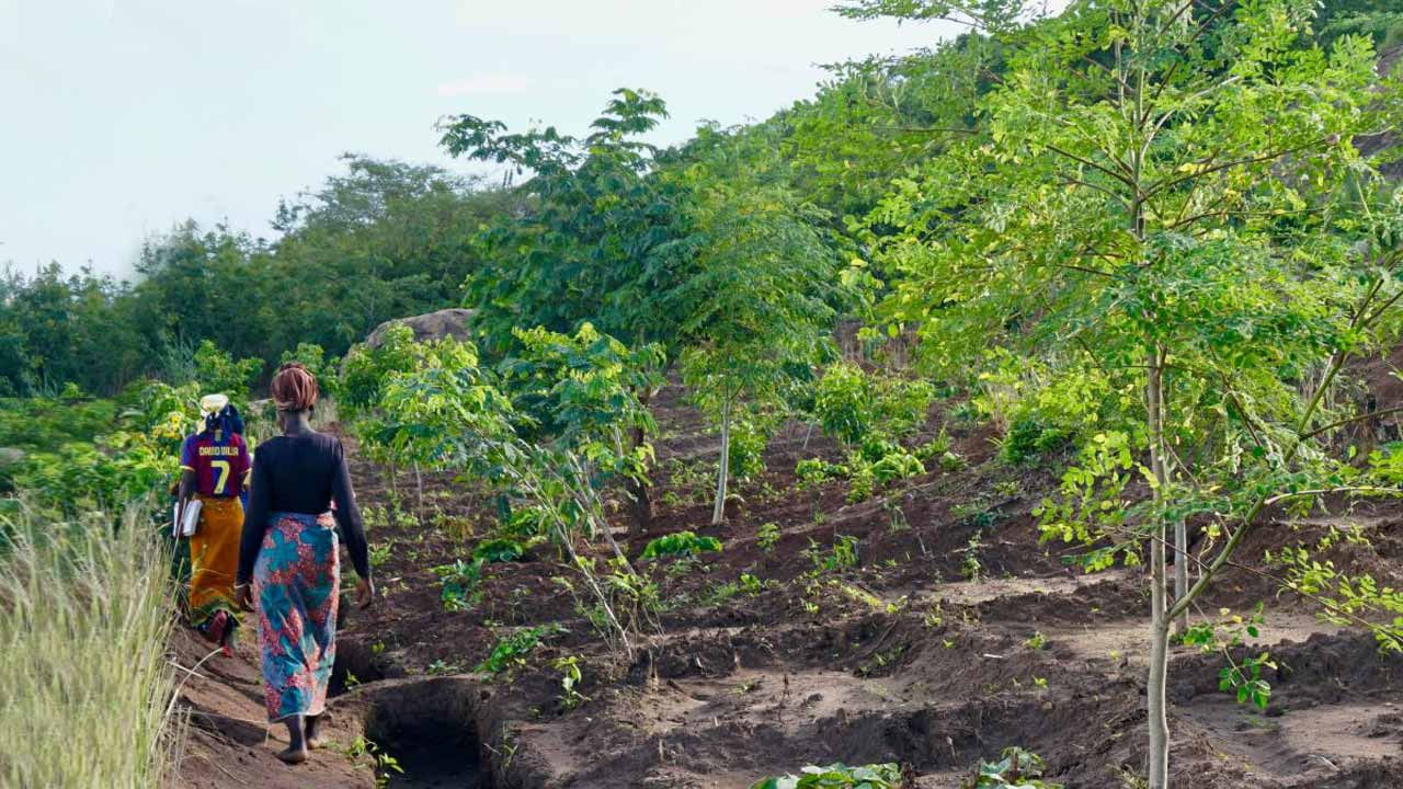 Duas mulheres caminhando por um pomar