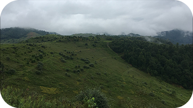 Colinas verdes cobertas de árvores e nuvens espessas