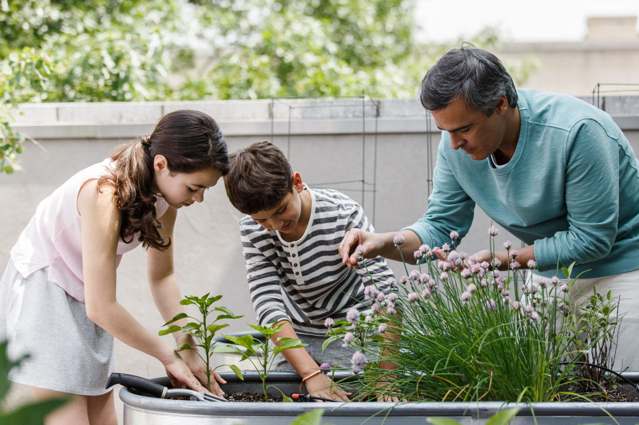 jardinagem em família