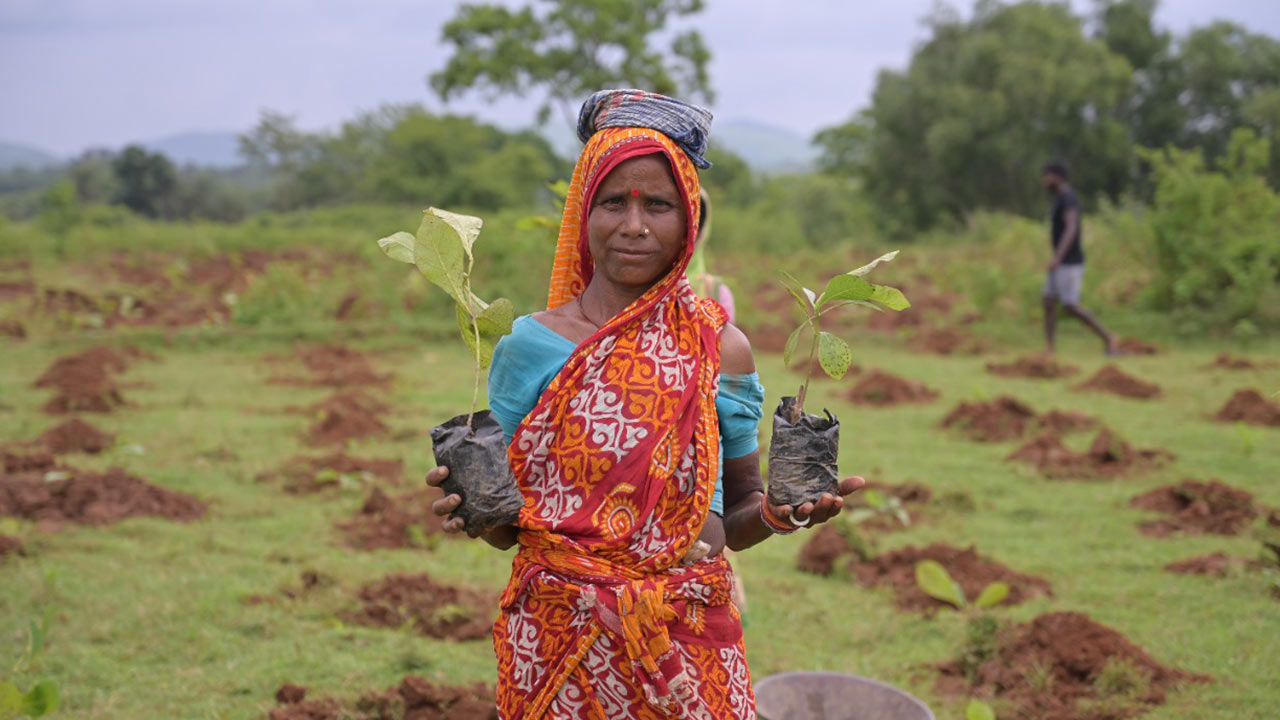 Femme indienne avec des pousses d'arbres.