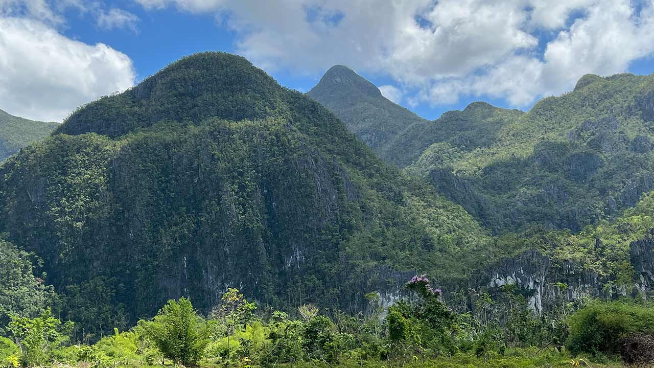 Belle vue sur les montagnes verdoyantes, Philippines.