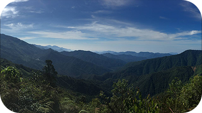 Landscape view of hills covered in dense forest.