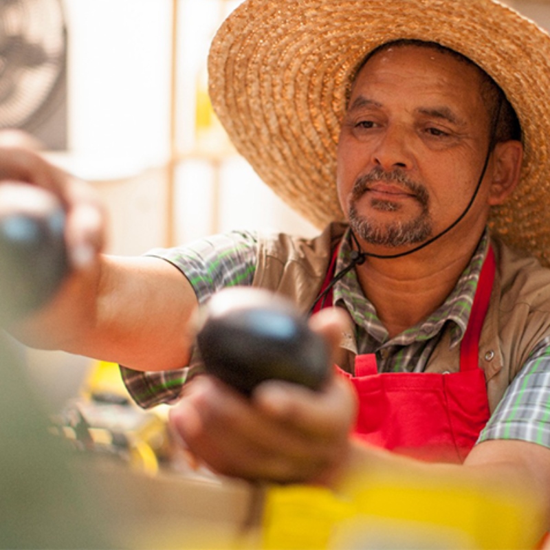 A market worker in a straw hat and apron arranges avocados in a display. 