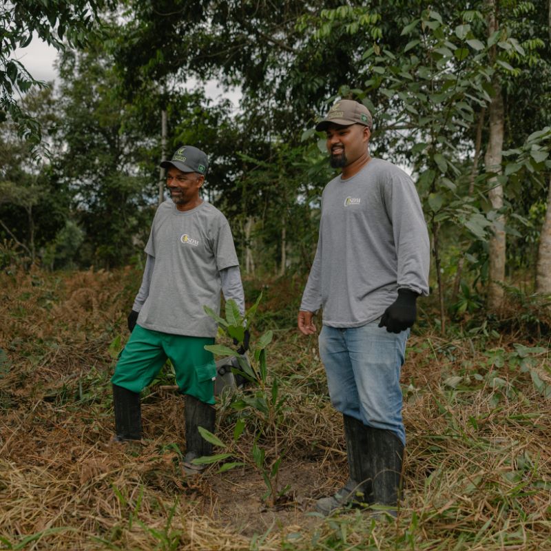 Two forest restoration workers in the Atlantic Forest in Bahia. 