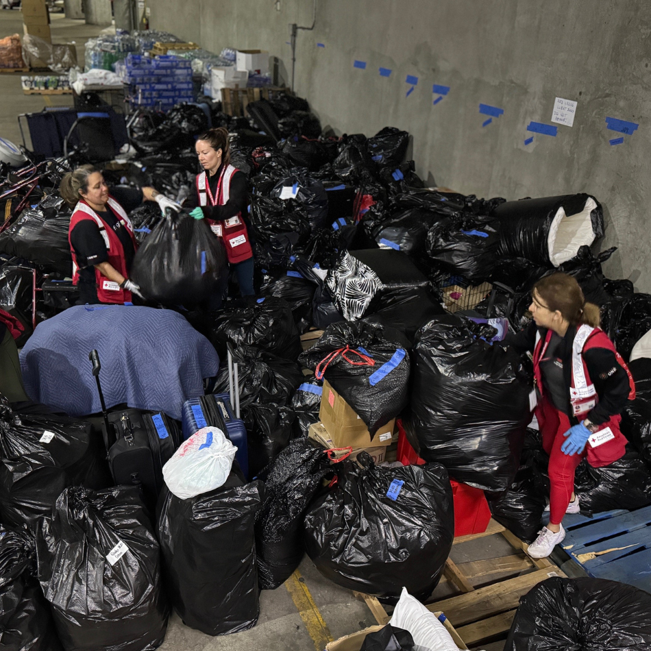 Cuatro voluntarios revisan bolsas de basura negras con pertenencias dejadas por los residentes del refugio. 