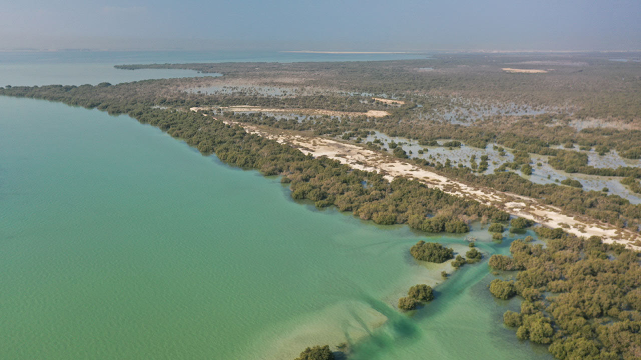 Vista aérea de la costa de los Emiratos Árabes Unidos.