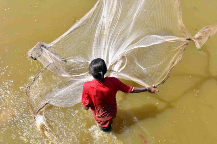 Una mujer lanza una red para pescar en el lago Tonle Sap de Camboya.