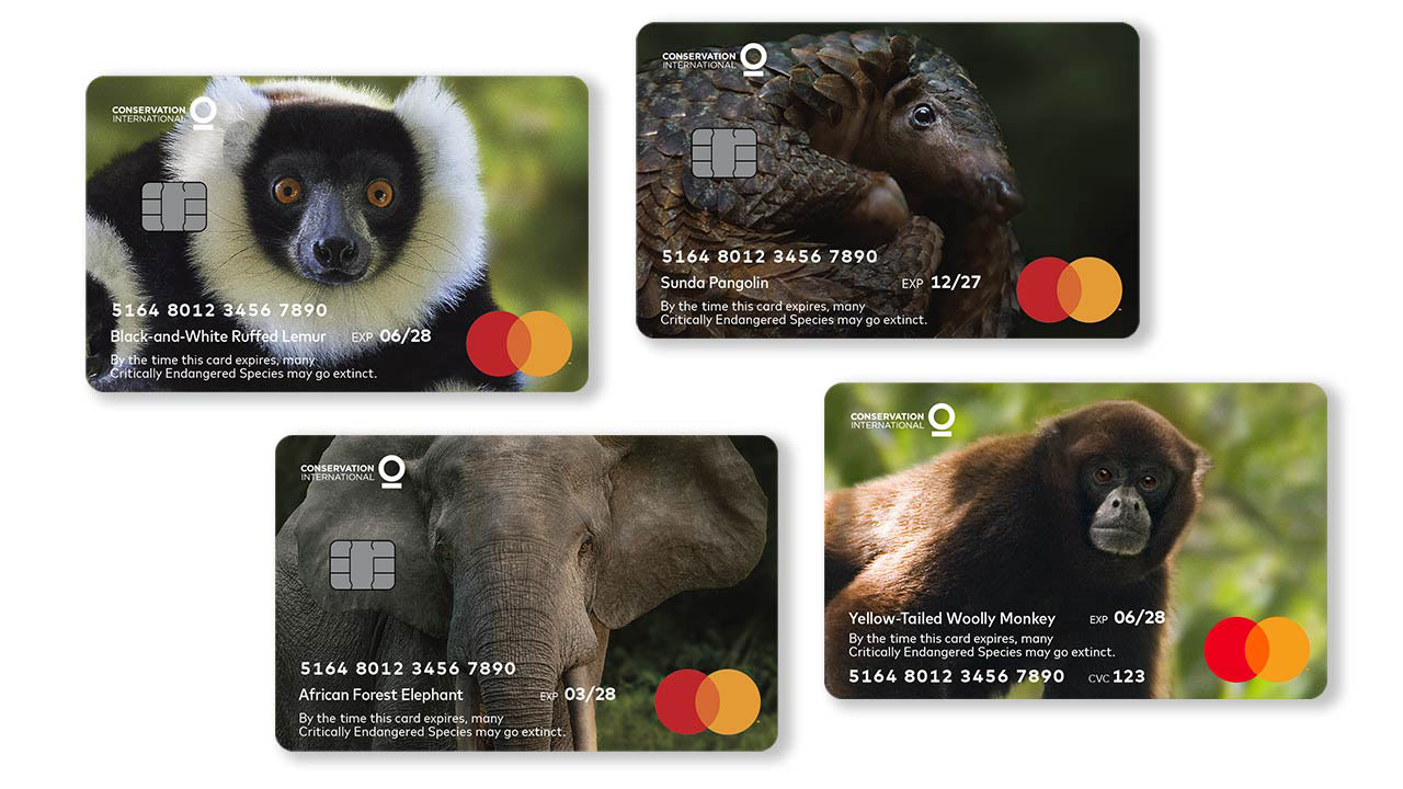 Mastercard Wildlife Impact Card Program | Save Endangered Species