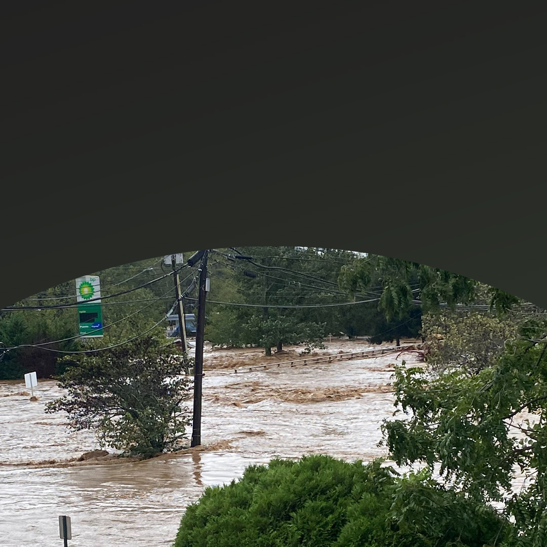 Povodňová voda částečně zaplavuje stromy a dopravní značky.