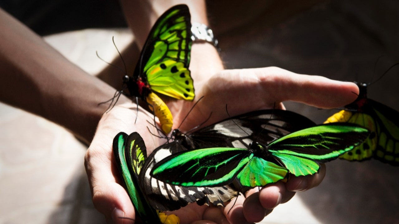 Create_differentiation_1280x720