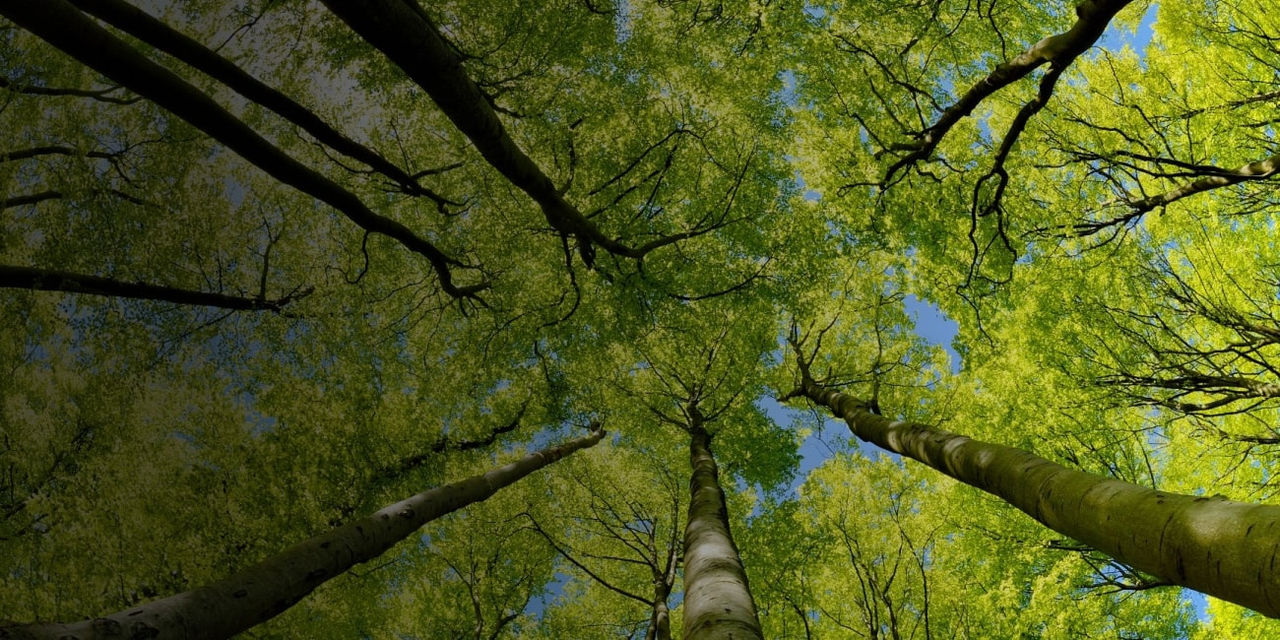 Values_1300x650