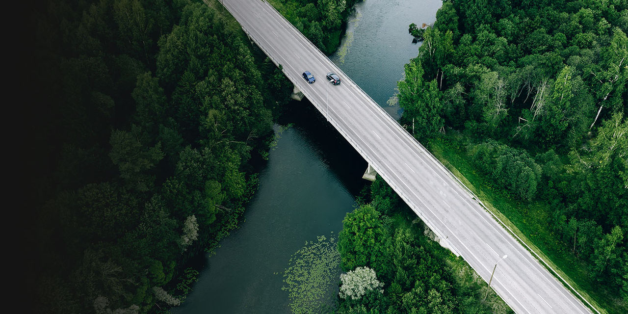 Road crossing forest