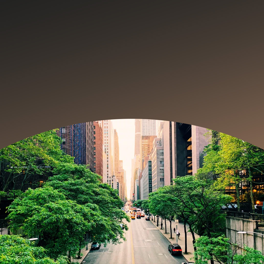 A road flanked by trees and tall buildings.