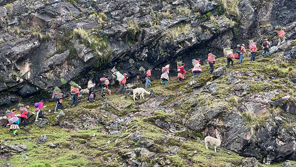 Restoring High Andean.