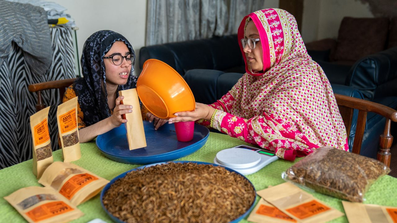 Babra Zafar packages mealworks with her daughter. 