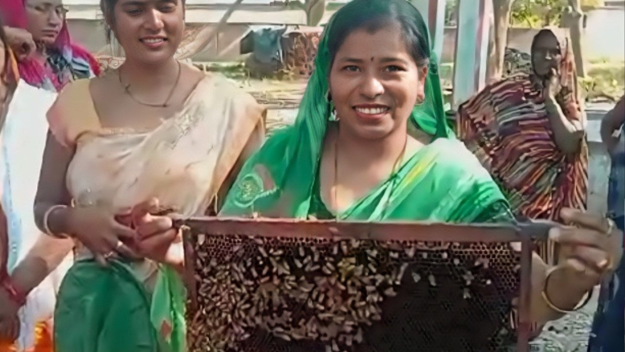 A woman holds a panel from a hive crawling with honeybees. 