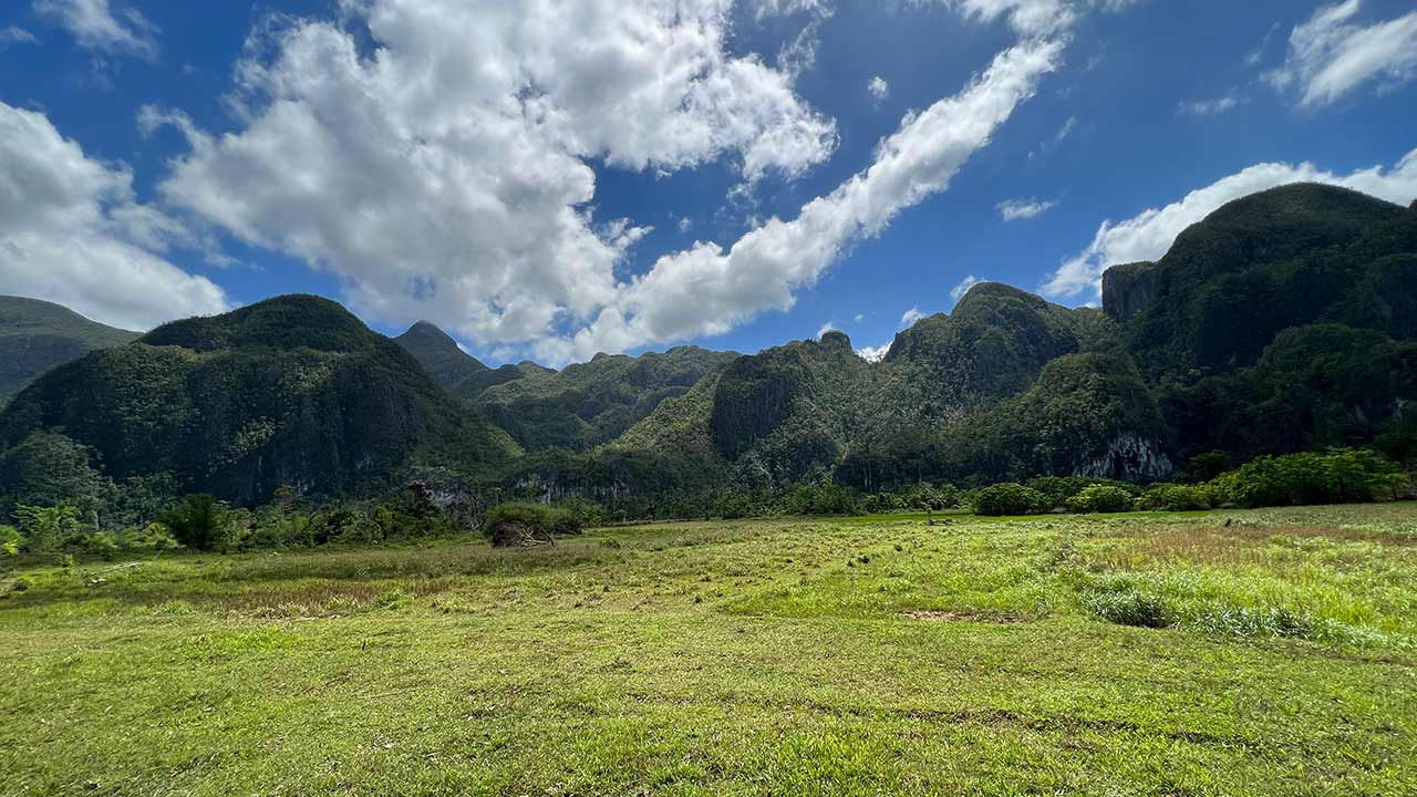 Puerto Princesa national park, Philippines.