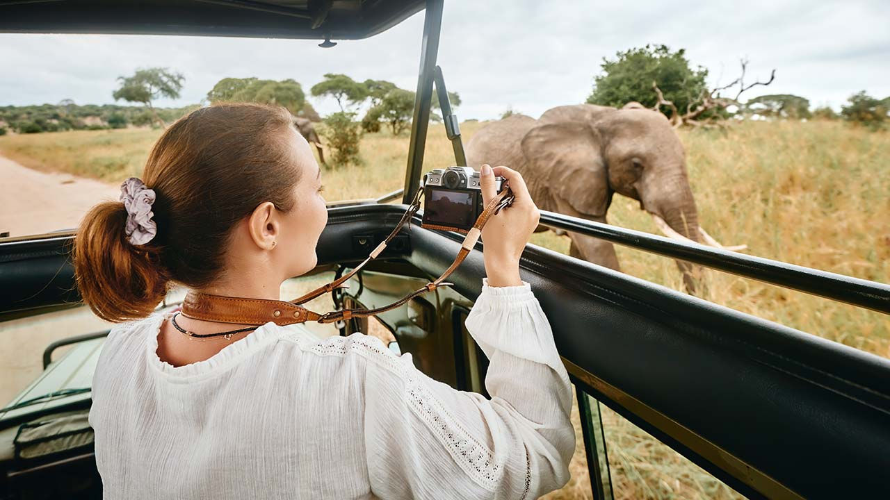 Woman on safari photographing elephant.