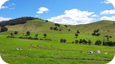 Green rolling hills and blue sky with white clouds.