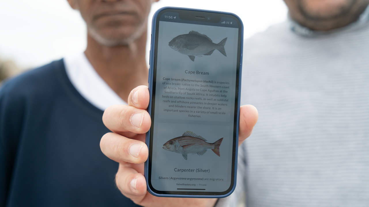 漁師が、さまざまな種類の魚に関する情報が表示されたスマートフォンを掲げている。