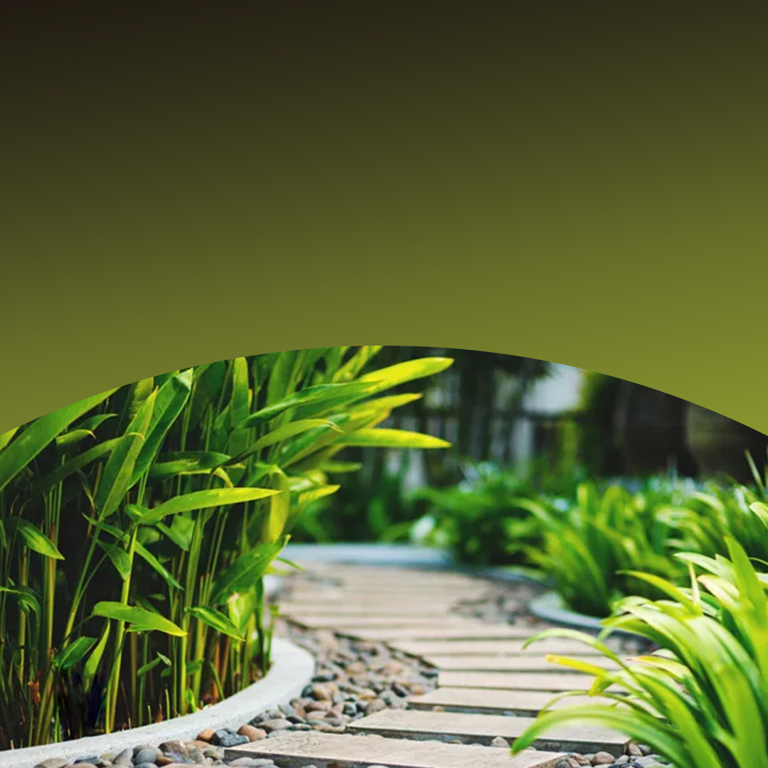 Chemin de jardin bordé de plantes vertes luxuriantes.