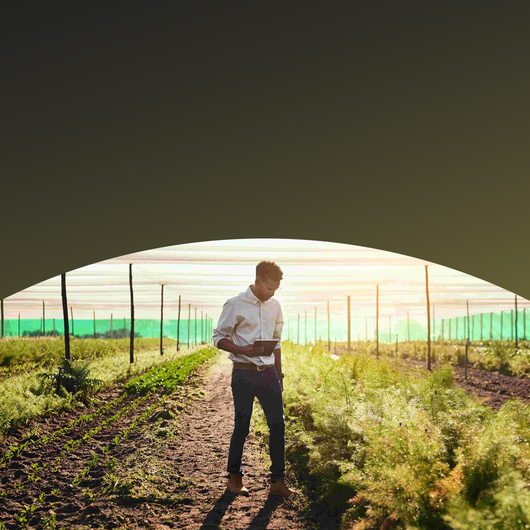 Bărbat cumpărând haine într-o piață