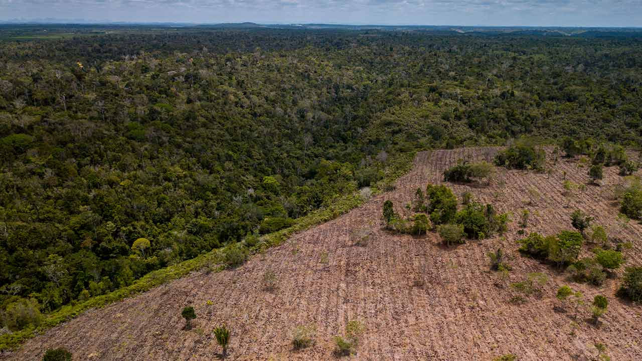 Аброльос, Бразилия.