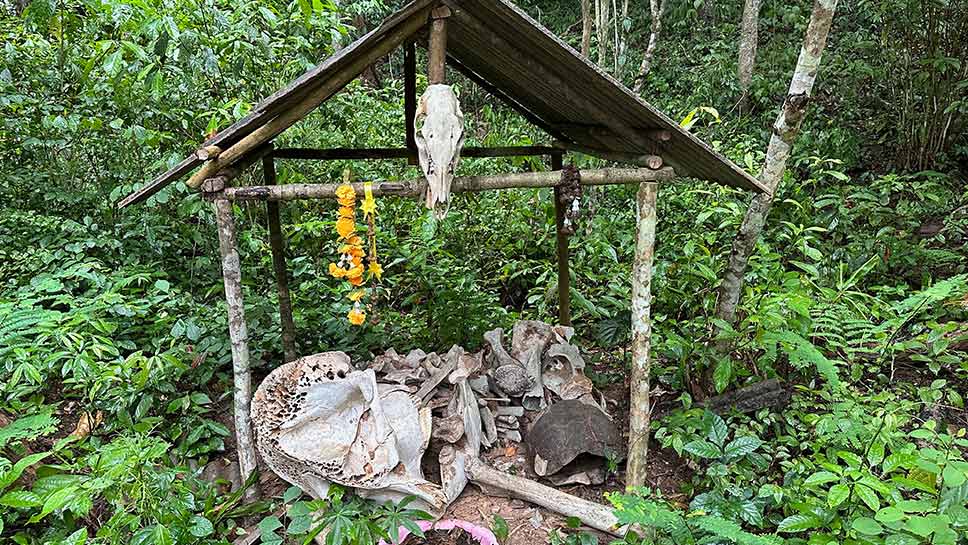 حديقة كاينغ كراتشان الوطنية.