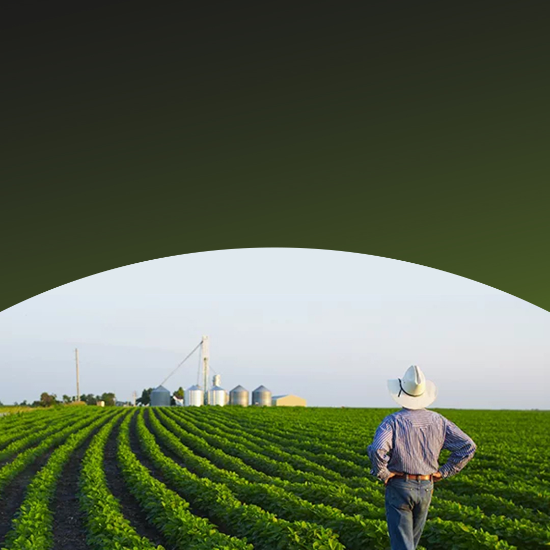 A farmer in a cowboy hat and blue shirt stands in a lush green field of crops.