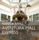 aventura express