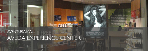 Hotels Fontainebleau Miami Beach