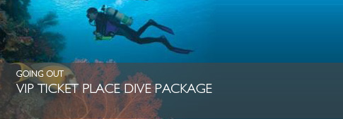 VIP ticket place div package