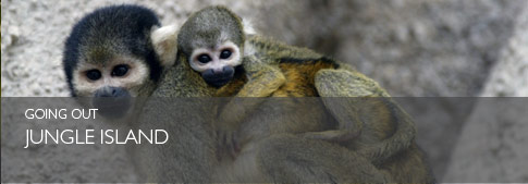 Jungle Island
