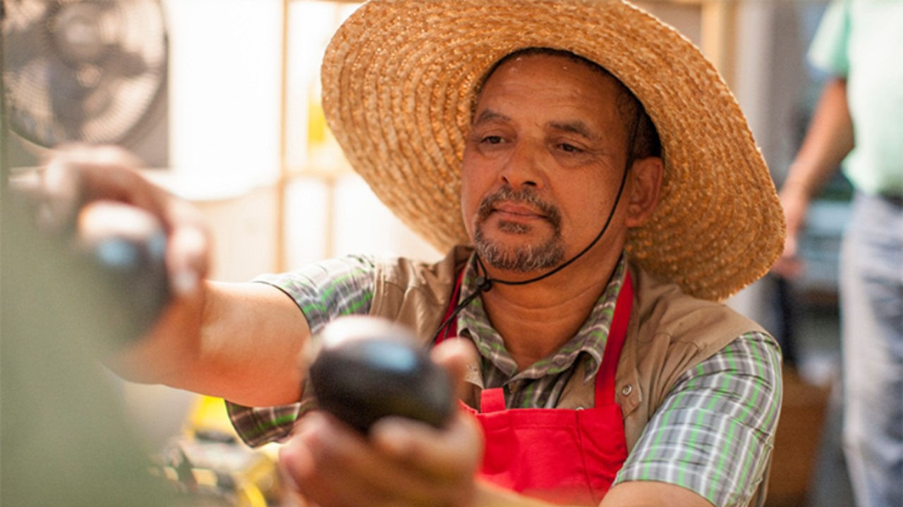 A market worker in a straw hat and apron arranges avocados in a display. 