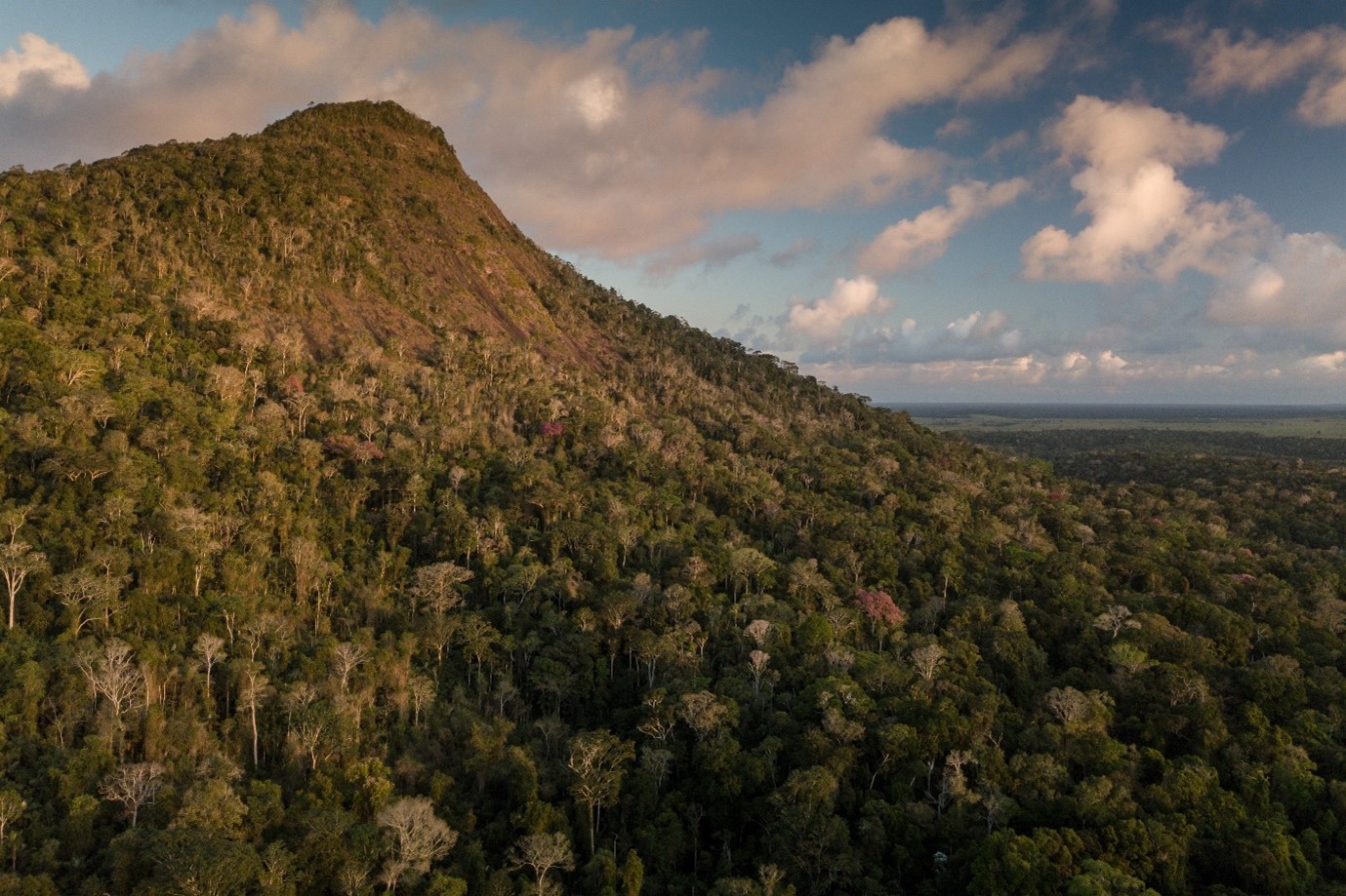 Vista do Monte Pascoal, na Mata Atlântica do litoral da Bahia. O desmatamento ameaça as florestas tropicais do Brasil, reduzindo sua capacidade de capturar carbono e piorando o problema mundial de emissões de carbono. (Foto: Flavio Forner/Conservação Internacional)