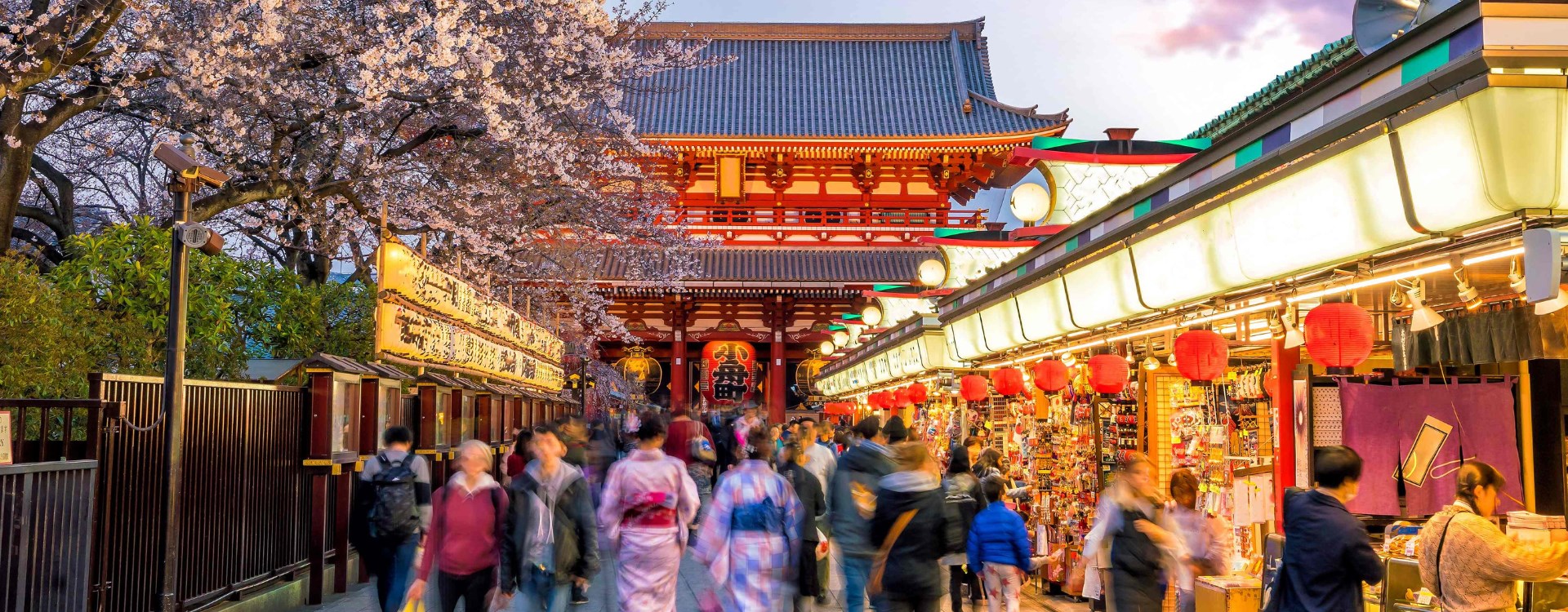 A street scene in Tokya with souvenir stalls in front of a temple and next to cherry trees in blossom.