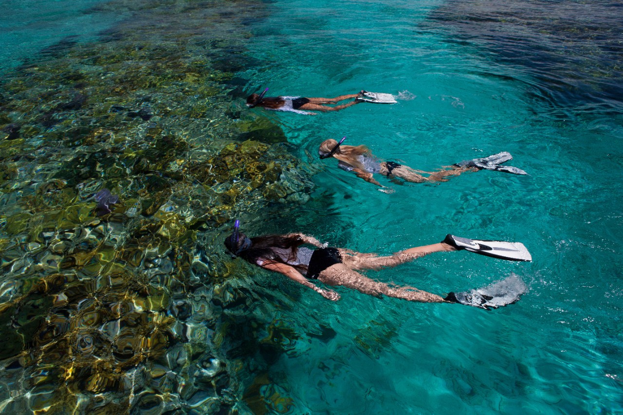 Mastercard-GDCI-Snorkeling