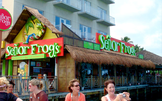 Senor Frogs