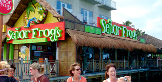 senor_frogs_