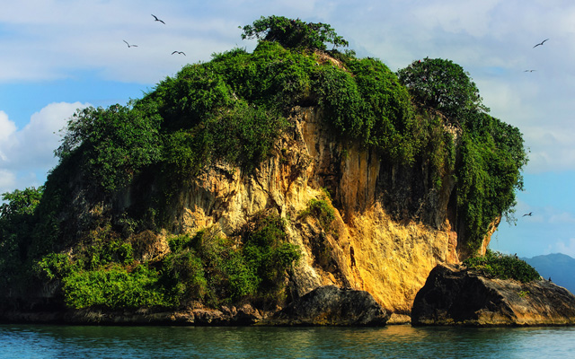 Desde el Medio Tours & Travel