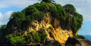 Desde el Medio Tours