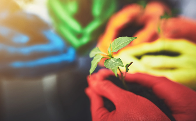 O mână care ține o plantă mică, verde și cu frunze.