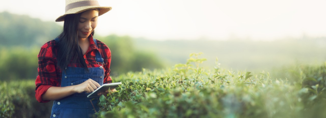 Farmer gleda u tabletu dok stoji u polju. 
