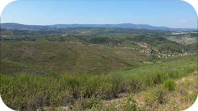 Zračni pogled na gozd in hribe.
