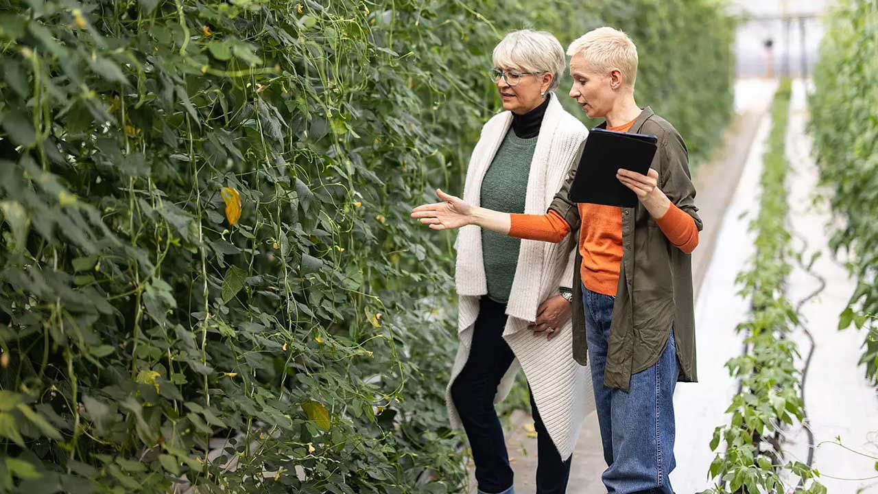 Two women outside in garden checking plants.