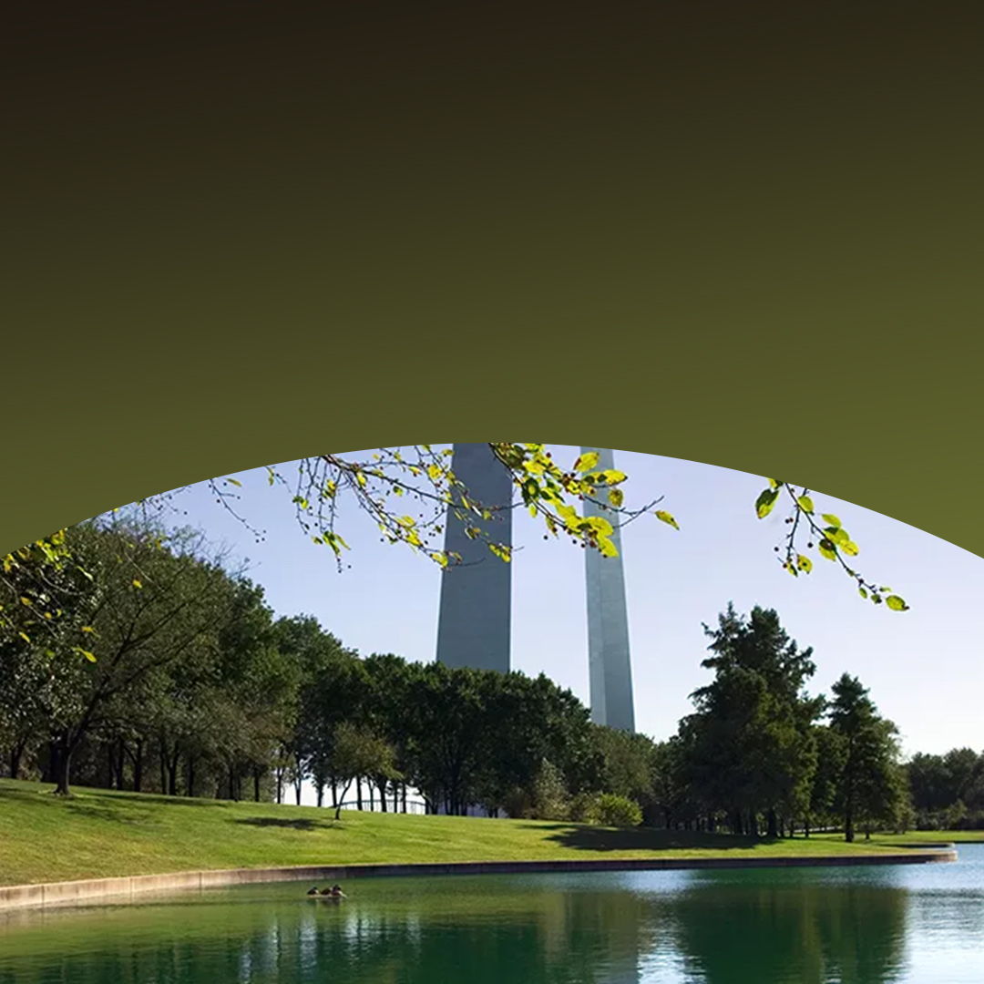 A park with trees and a pond under a clear sky.