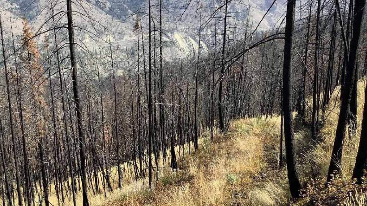 Nicola valley, Canada.